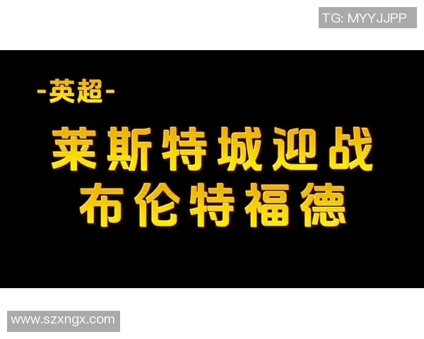 布伦特福德主场迎战莱斯特城期待精彩对决与激烈竞争