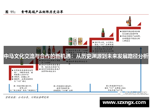 中马文化交流与合作的新机遇：从历史渊源到未来发展路径分析