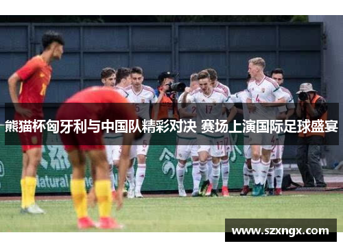 熊猫杯匈牙利与中国队精彩对决 赛场上演国际足球盛宴