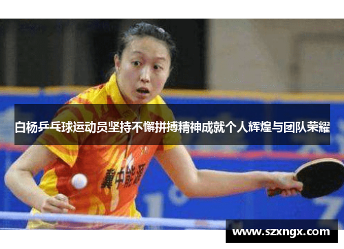 白杨乒乓球运动员坚持不懈拼搏精神成就个人辉煌与团队荣耀