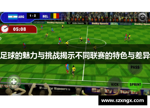 足球的魅力与挑战揭示不同联赛的特色与差异