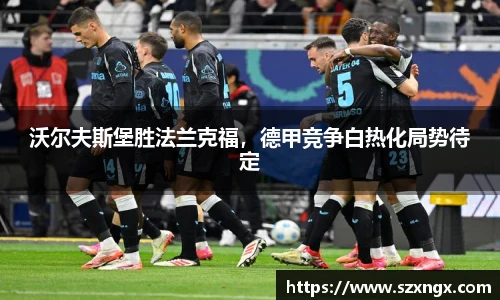 沃尔夫斯堡胜法兰克福，德甲竞争白热化局势待定
